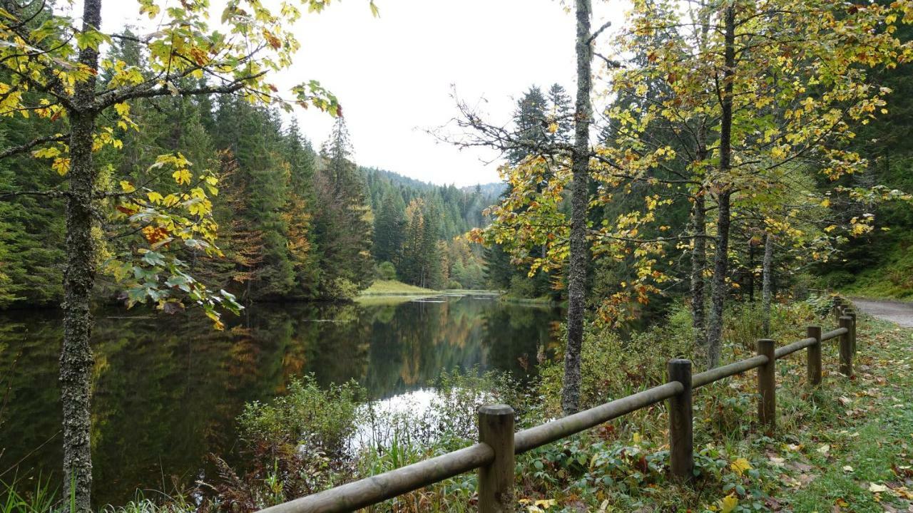 Appartement Les Prairies Du Gérardmer